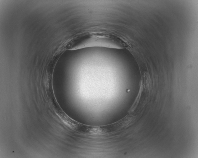 X0000078300562200611172151