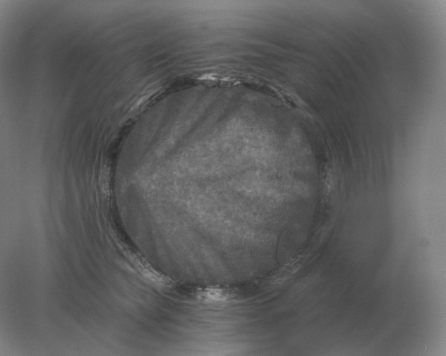 X0000078300565200611172151