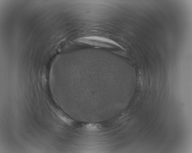 X0000078300566200611172151