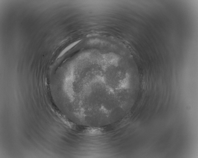 X0000078300569200611172151