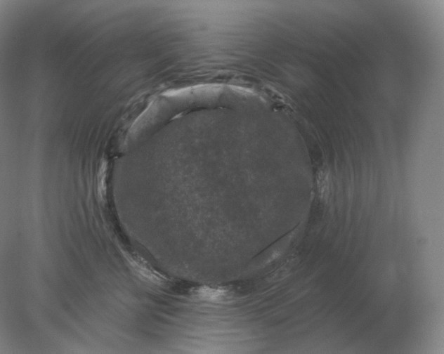 X0000078300570200611172151