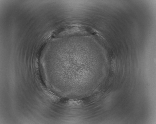 X0000078300571200611172151