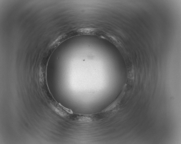 X0000078300572200611172151