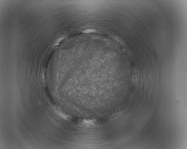 X0000078300573200611172151