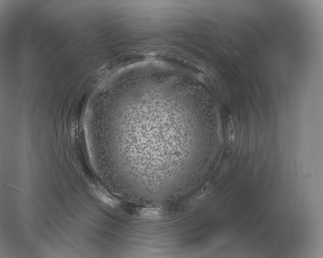 X0000078300574200611172151