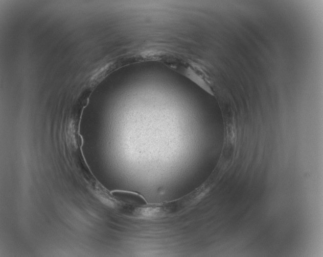 X0000078300575200611172151