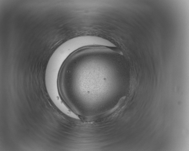 X0000078300576200611172151