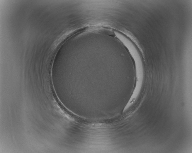 X0000078300577200611172150