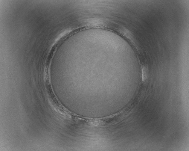 X0000078300579200611172150