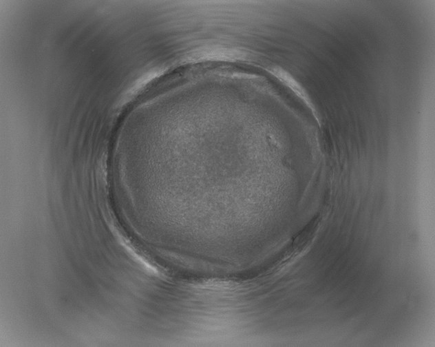 X0000078300581200611172150