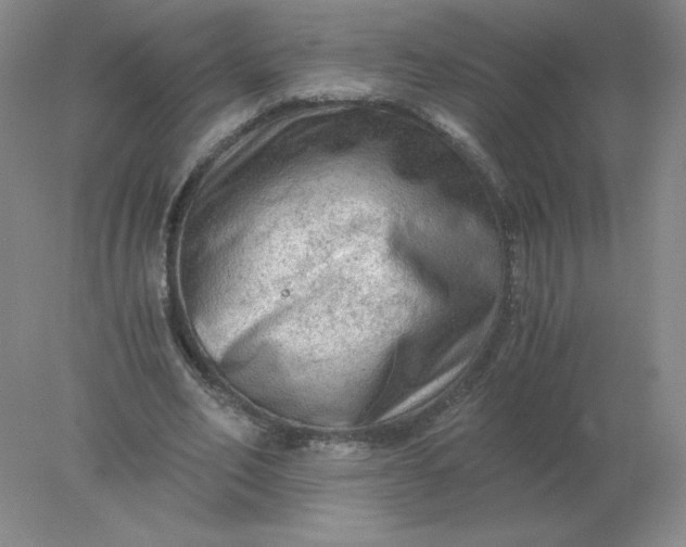 X0000078300582200611172150