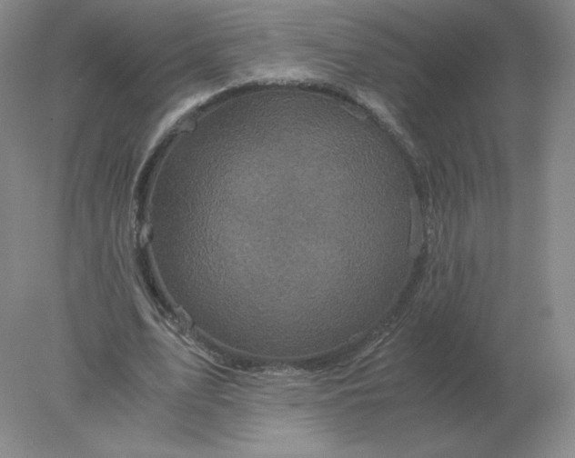 X0000078300583200611172150