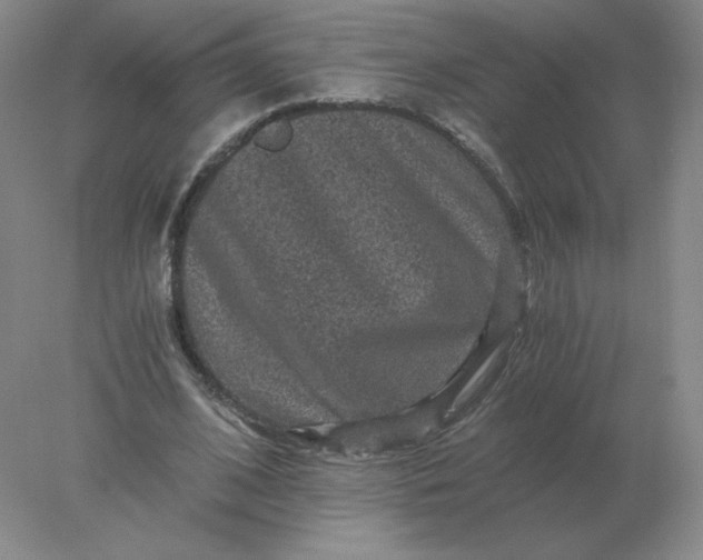 X0000078300584200611172150