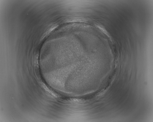 X0000078300585200611172150