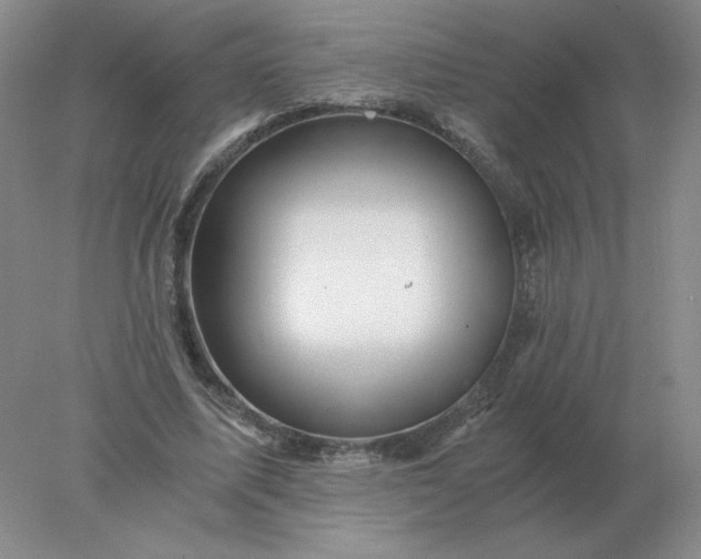 X0000078300587200611172150