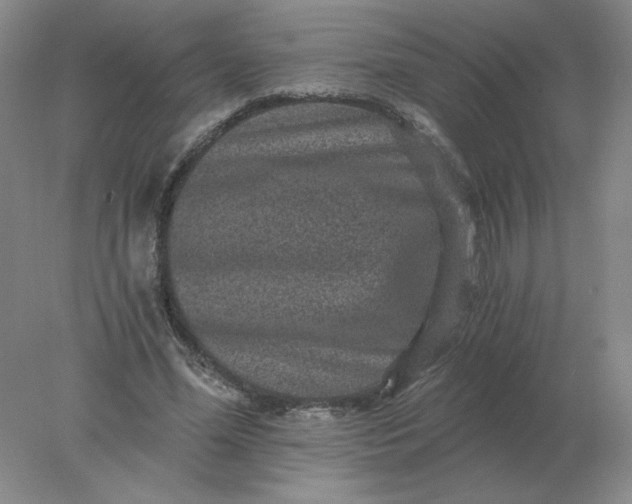 X0000078300588200611172150