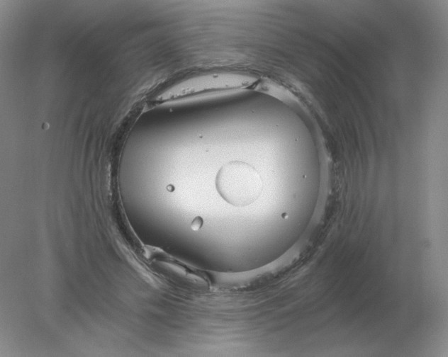 X0000078300589200611172150