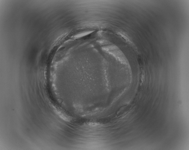 X0000078300590200611172150