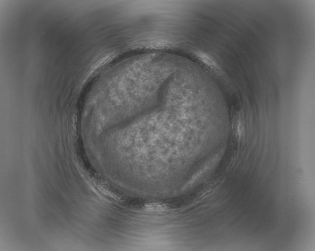 X0000078300591200611172150