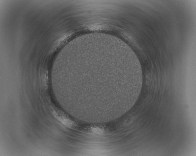 X0000078300592200611172150