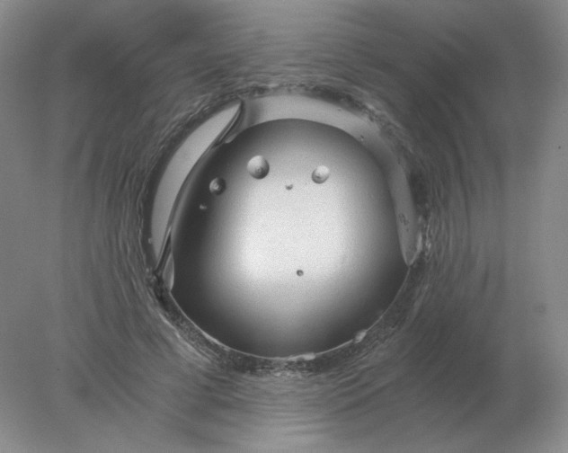 X0000078300593200611172150