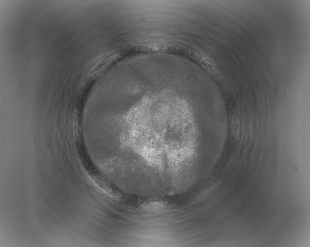 X0000078300594200611172150