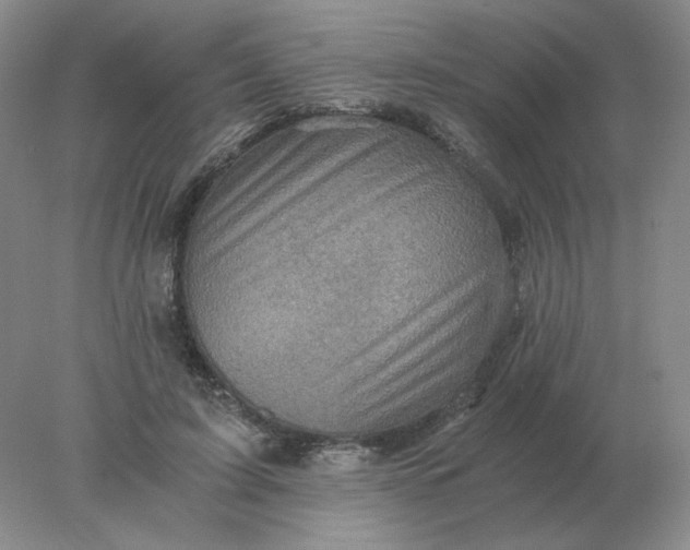 X0000078300595200611172150