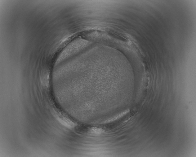 X0000078300596200611172150