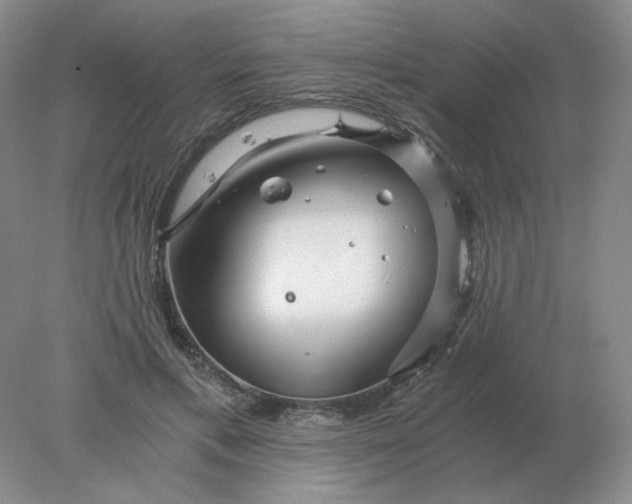 X0000078300597200611172150