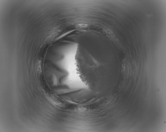 X0000078300598200611172150