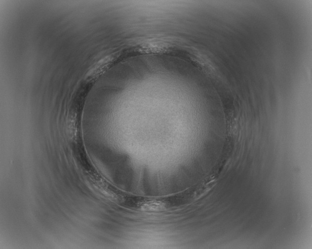 X0000078300599200611172150