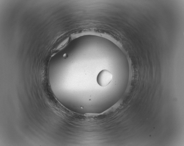 X0000078300600200611172150