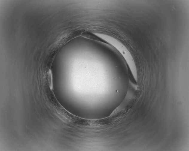 X0000078300601200611172150