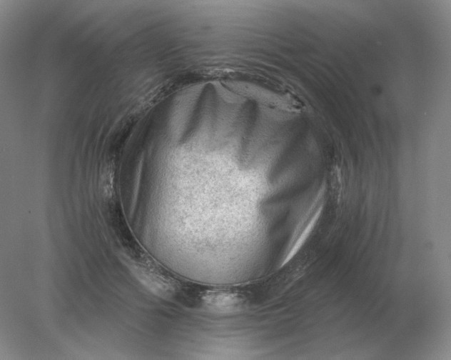 X0000078300602200611172150