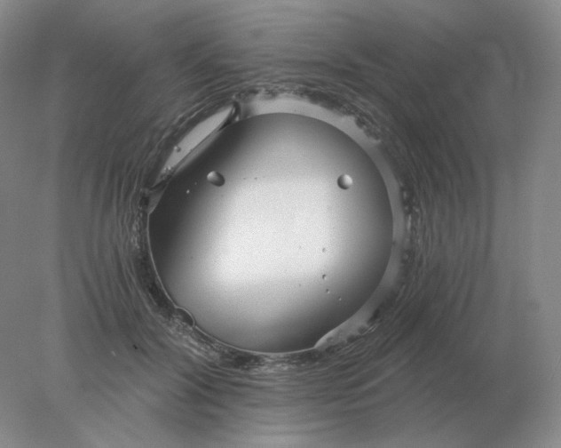 X0000078300604200611172150