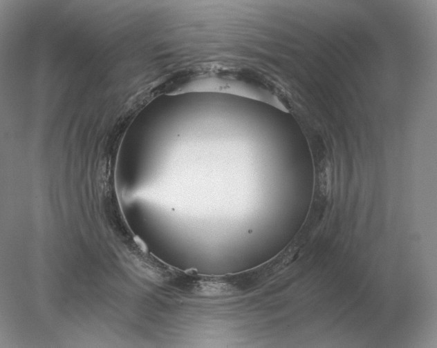 X0000078300605200611172150