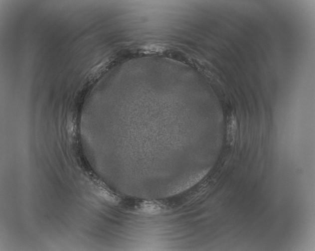 X0000078300608200611172150