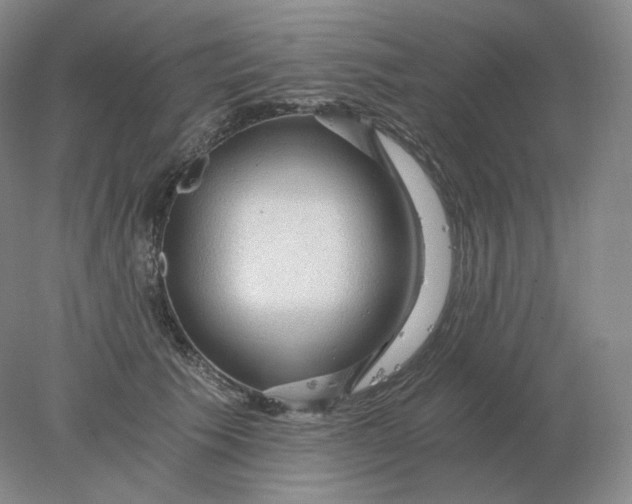 X0000078300609200611172150