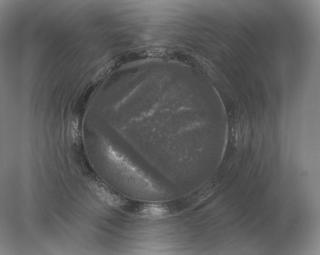 X0000078300610200611172150