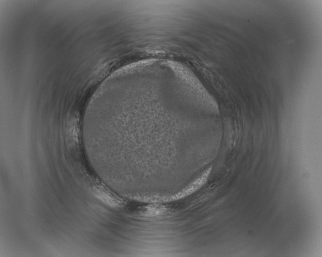 X0000078300612200611172150