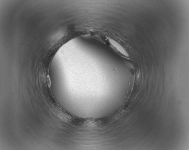 X0000078300613200611172150