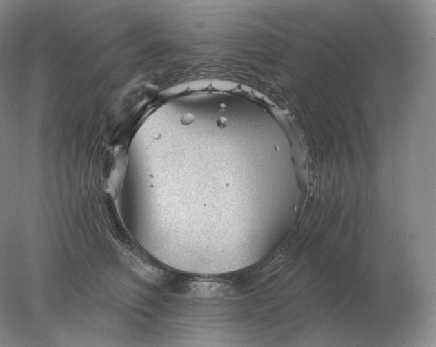 X0000078300614200611172150