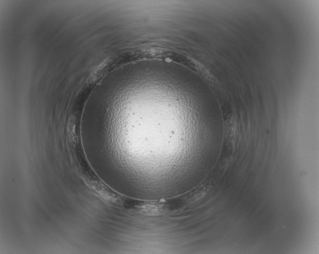 X0000078300615200611172150