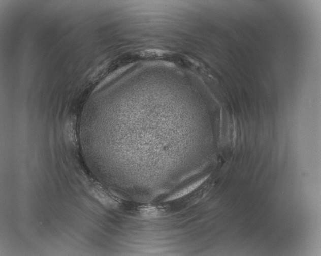 X0000078300616200611172150