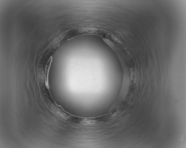 X0000078300617200611172150