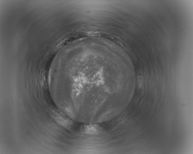 X0000078300618200611172150