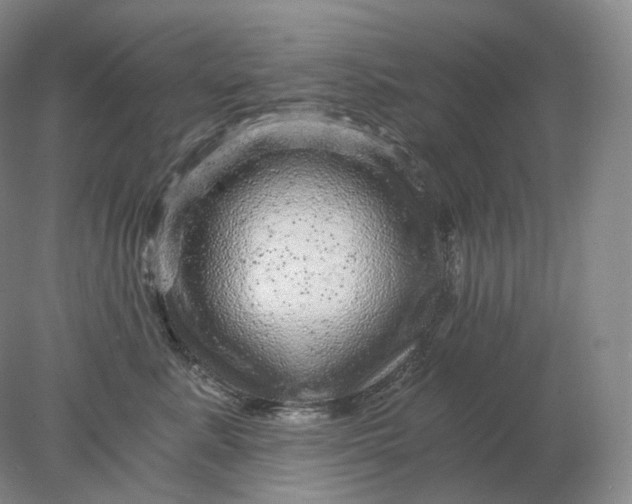 X0000078300619200611172150