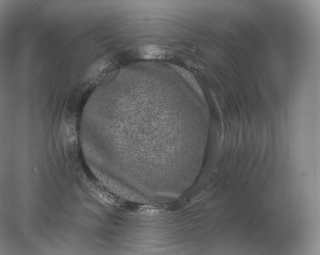 X0000078300620200611172150