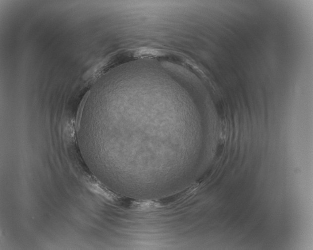 X0000078300621200611172150