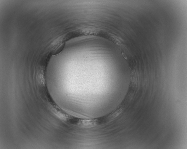 X0000078300622200611172150